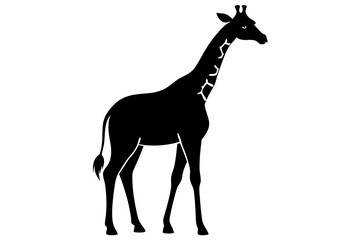 giraffe black silhouette vector with white background. Wild animal vector