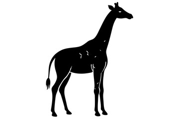 giraffe black silhouette vector with white background. Wild animal vector