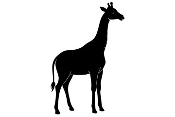 giraffe black silhouette vector with white background. Wild animal vector