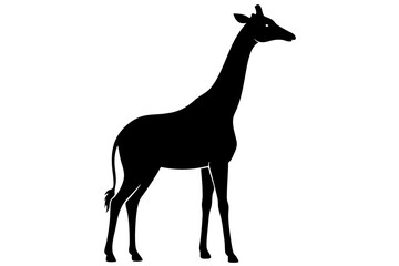 giraffe black silhouette vector with white background. Wild animal vector