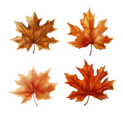 Beautiful autumn leaves with vibrant colors on a transparent background, green tea leaves isolated on transparnt png