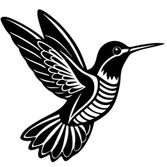 hummingbird black silhouette vector with white background. Wild animal vector