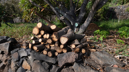 A neatly stacked pile of firewood rests on a stone base under a tree in a rural outdoor setting. Surrounding greenery and sunlight create a rustic and peaceful atmosphere.