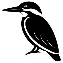 kingfisher black silhouette vector with white background. Wild animal vector