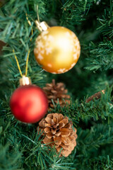 Indoor Christmas tree