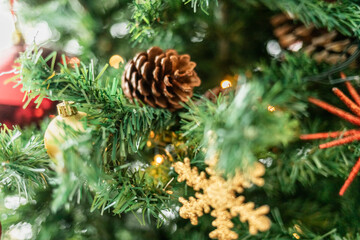 Indoor Christmas tree