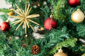 Indoor Christmas tree