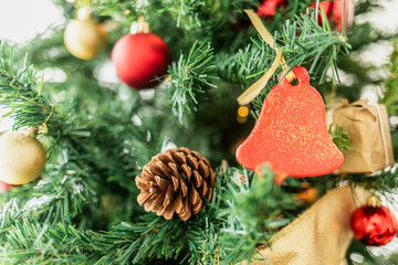 Indoor Christmas tree