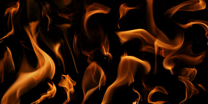 Verschiedene Flammen von einem Feuer vor einem schwarzen Hintergrund
