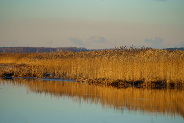 A serene sandy riverbank stretches beneath a stunning sky