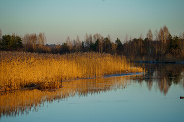 A serene sandy riverbank stretches beneath a stunning sky