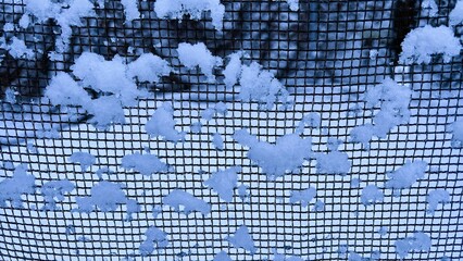 Snow on a Net Grid