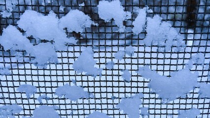 Snow on a Net Grid