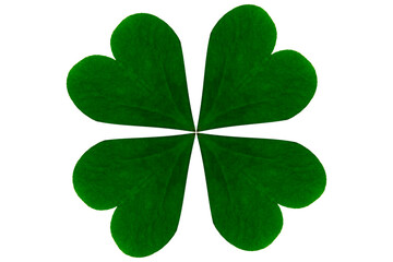 Four leaf clover isolated on transparent background