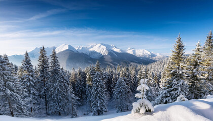 snowy pine forest with mountain range in winter landscape