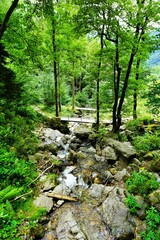 Waterfall Cascade