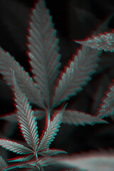 Blur grain Marijuana cannabis leaf. Glitch effect grunge dark background.
