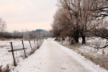 Road