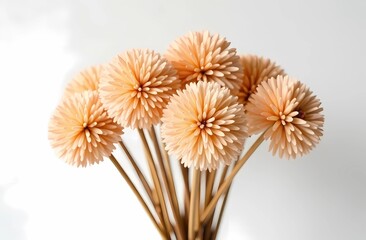 Obraz premium Lush bouquet of plants on white background. Minimal floral holiday arrangement.
