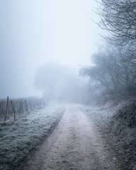 Fototapeta premium Misty rural path with frosty grass on a foggy morning.
