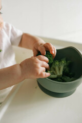 Broccoli in a plate, first complementary food using the blw method