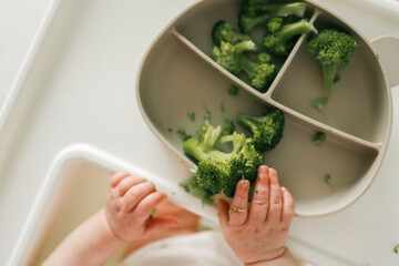 Broccoli in a plate, first complementary food using the blw method