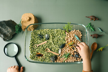 Educational sensory play setup for kids featuring plastic insects, rocks, a magnifying glass, and...