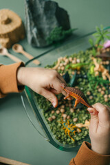 Children's sensory activity with green split peas, wooden spoons, and toy insects. Focus on...