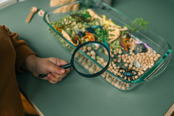Children’s sensory activity with green split peas, wooden spoons, and toy insects. Focus on...