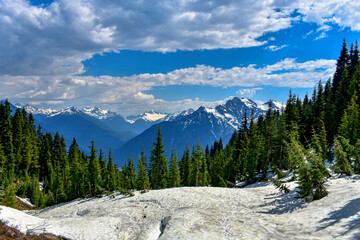 View from a snowy forested mountain, North Cascades National Park, Washington © Michael