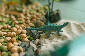 Miniature dinosaur landscape in a glass dish featuring sand, rocks, chickpeas, and toy dinosaurs. A creative sensory play and educational setup for children