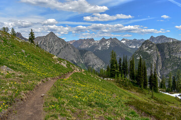 Obraz premium Mountain Hiking Trail, North Cascades National Park, Washington