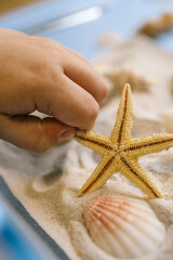 Close-up of a child&rsquo;s hand exploring seashells in a glass dish filled with sand on a light blue background. Interactive sensory activity for creative and educational play