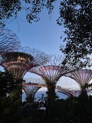 Fototapeta premium Gardens of the Bay in Singapore