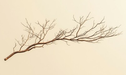 Obraz premium Leafless tree branch with symmetrical twigs, centered on a gradient beige backdrop, embodying natural simplicity and minimalism,
