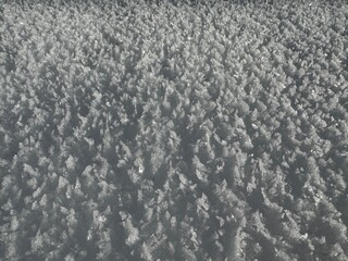 snow on the road