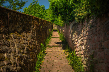 Philosophenweg (Philosophers' Path) in Heidelberg, Germany, a popular hiking Path, on a sunny...