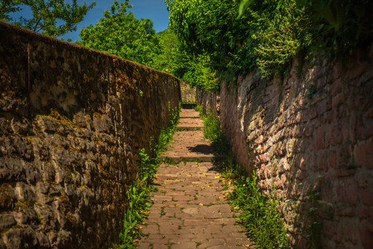 Philosophenweg (Philosophers' Path) in Heidelberg, Germany, a popular hiking Path, on a sunny Summer Day with blue Sky; Copyspace