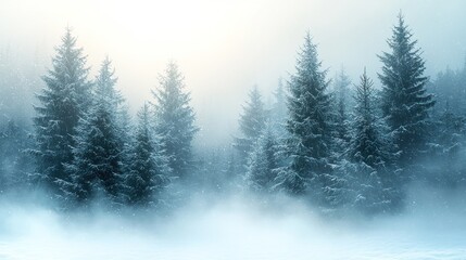 Obraz premium A serene winter landscape with snow-covered trees shrouded in mist.