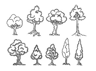 Set of isolated hand drawn tree from an european forest, nature, graphic element. Vector Black outline.