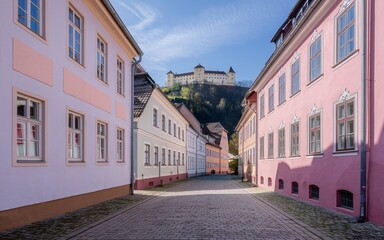 Fototapeta premium Historic Street in Heidelberg, Cobblestone street with pastel buildings and distant castle. (1)