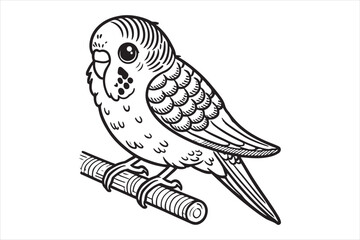 Fototapeta premium Line art of Budgerigar vector