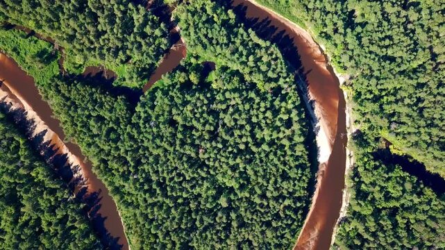 Aerial drone view landscape winding river with sandbanks among forest. High quality 4k footage