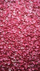 Numerous pink petals form a captivating backdrop, evoking feelings of romance and love, perfect for valentine's day, mother's day, or springtime celebrations