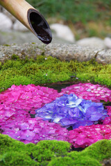花で満た手水鉢