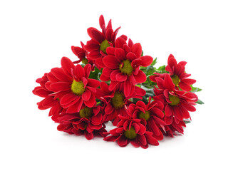 Bouquet of beautiful chrysanthemums.
