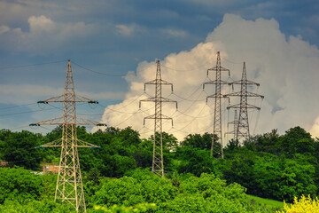 Electric wire pylons in forest