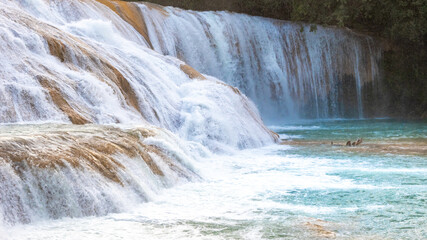 Landsape of Agua Azul with waterfalls in the Tropical forest of Palenque in Mexico.  