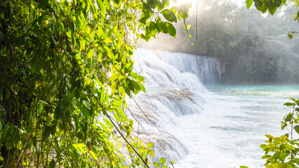 Landsape of Agua Azul with waterfalls in the Tropical forest of Palenque in Mexico.  
