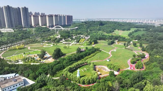 aerial view park in city